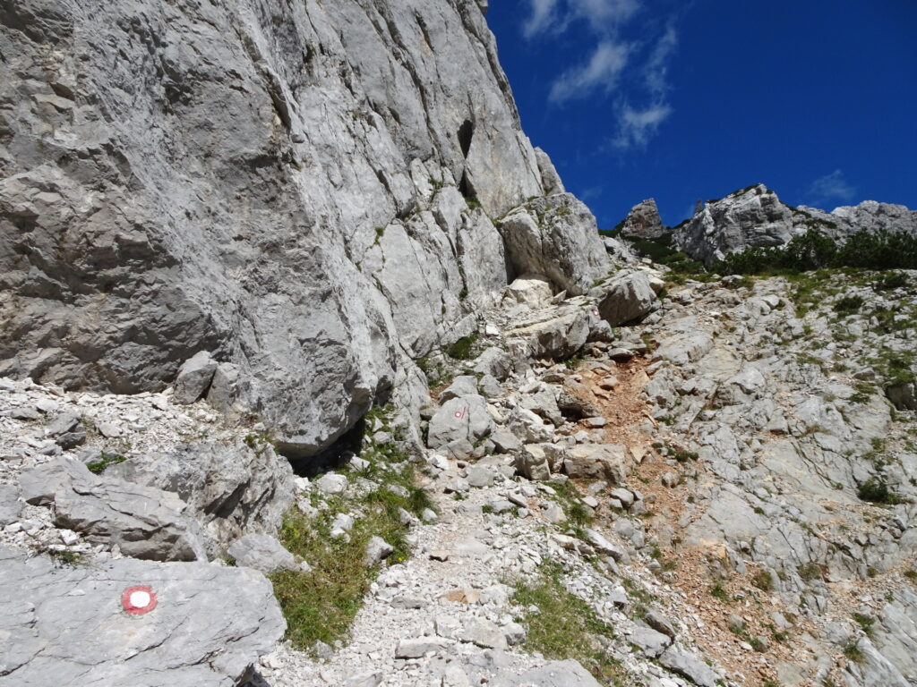 The (alpine) trail towards <i>Savinjsko sedlo</i>