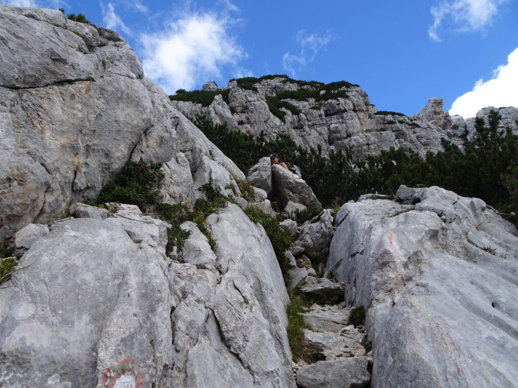 Climbing up towards <i>Savinjsko sedlo</i>