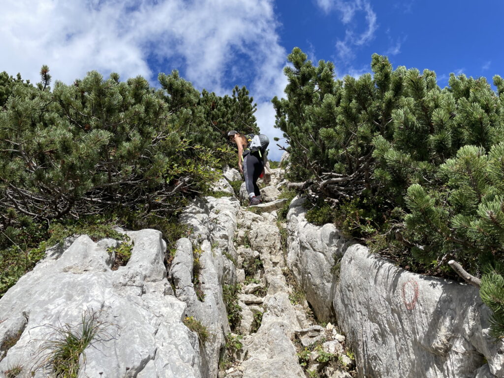 Eliane climbs up the last meters towards <i>Savinjsko sedlo</i>