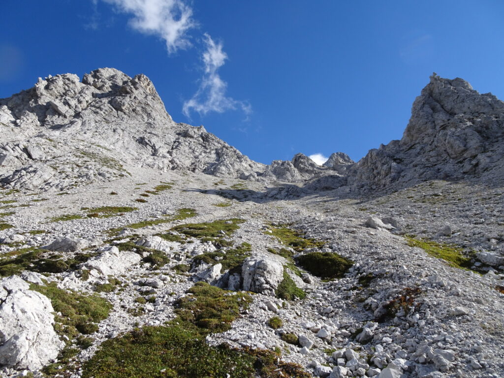 Shortcut towards <i>Ledinski vrh</i>