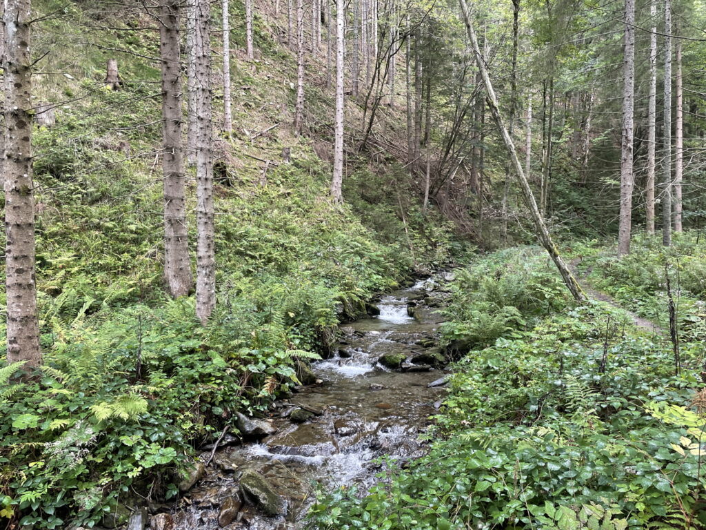 The <i>Wildwasserpfad</i> trail