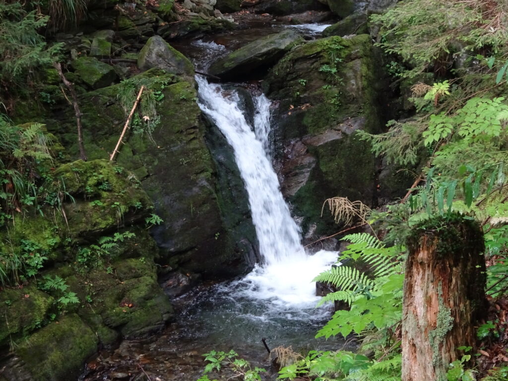 One of the many waterfalls of <i>Wildwasserpfad</i>