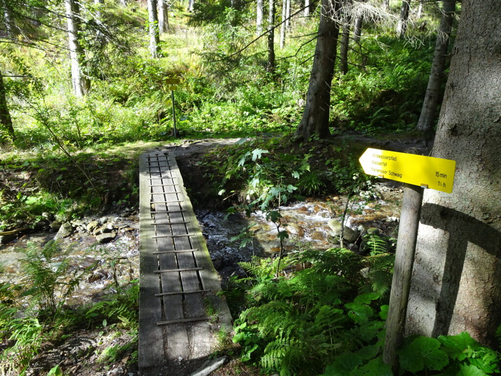 Following the <i>Wildwasserpfad</i> trail