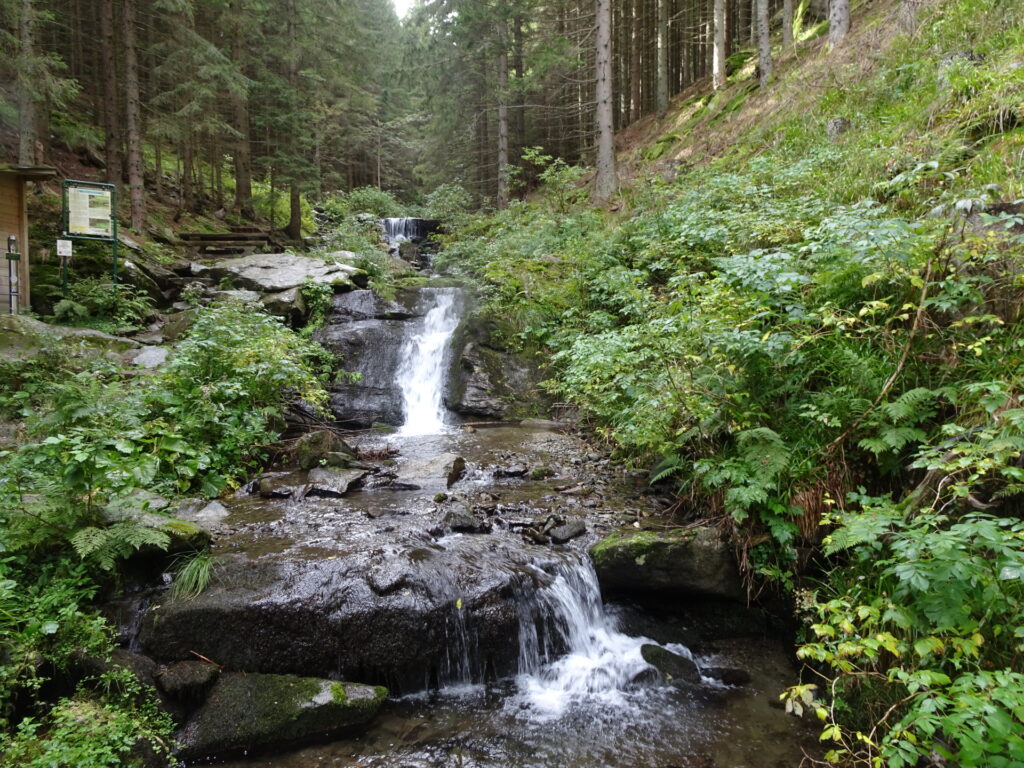 The <i>Wildwasserpfad</i> trail