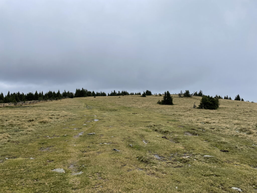 On the trail towards <i>Dreiländereck</i>