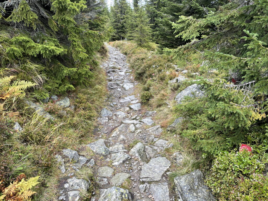 On the trail towards <i>Dreiländereck</i>
