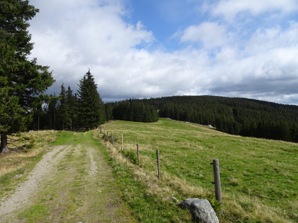 On the trail towards <i>Kampsteiner Schwaig</i>