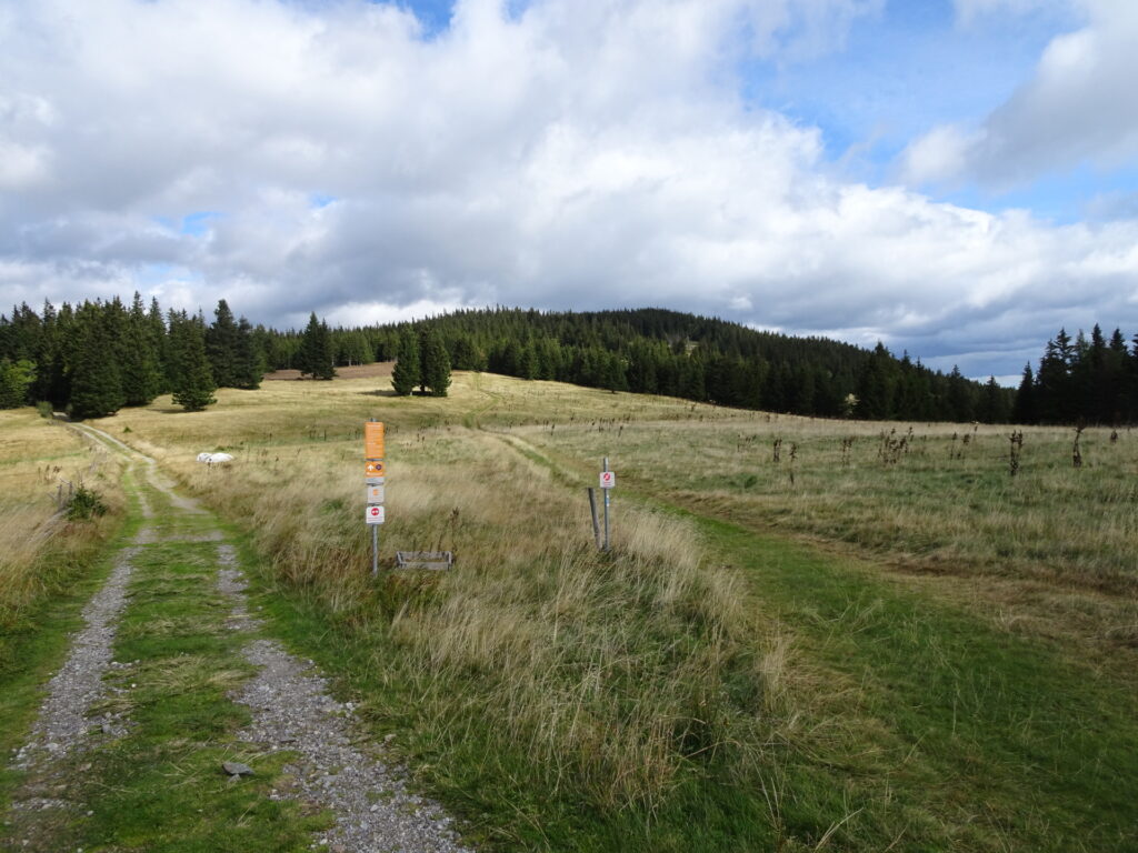 Follow the trail on the right hand-side towards <i>Herrgottschnitzerhütte</i>