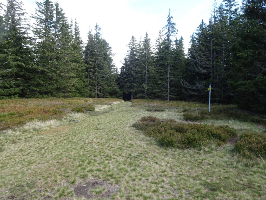 Trail towards <i>Herrgottschnitzerhütte</i>