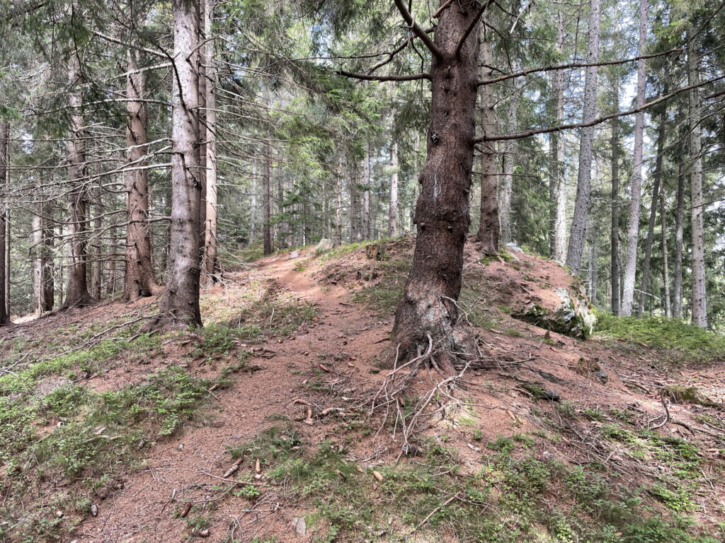 On the trail up to <i>Feichteck</i>