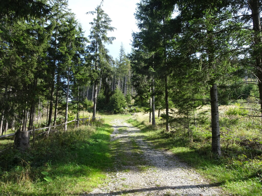 On the trail towards <i>Patschaberg</i>
