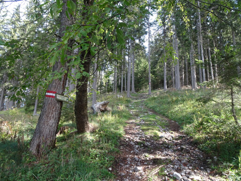 Trail towards <i>Patschaberg</i>