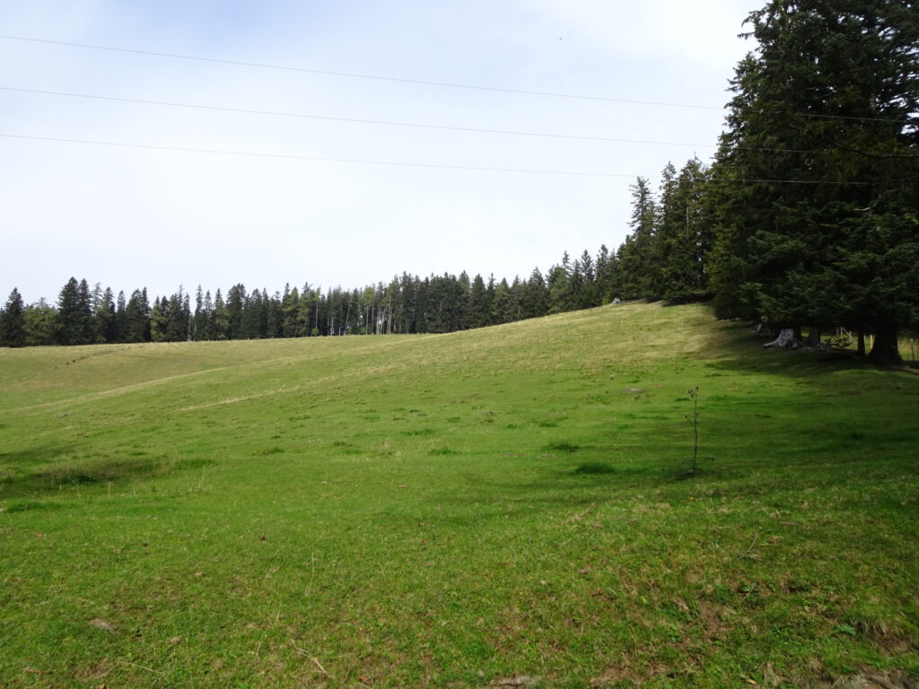 The <i>Pommesberg</i> is somewhere behind this meadow