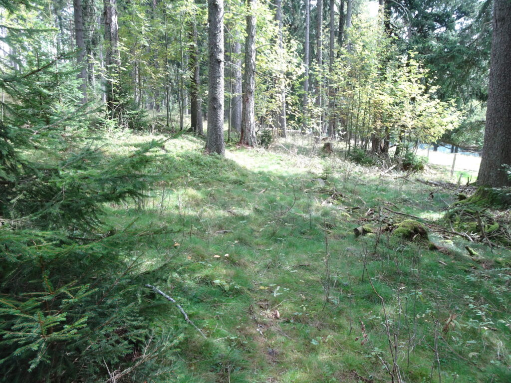 Finding the way up to <i>Pommesberg</i> around the meadow
