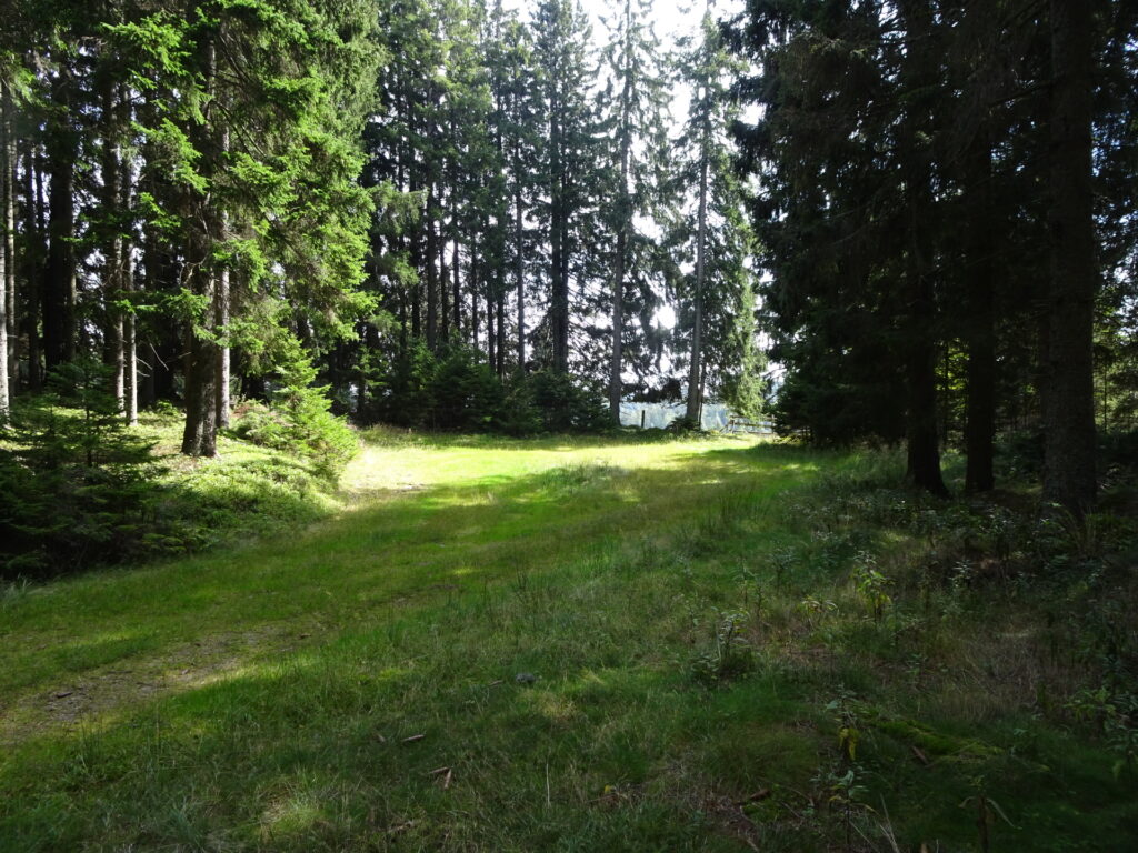 Alongside the meadow back to the hiking trail