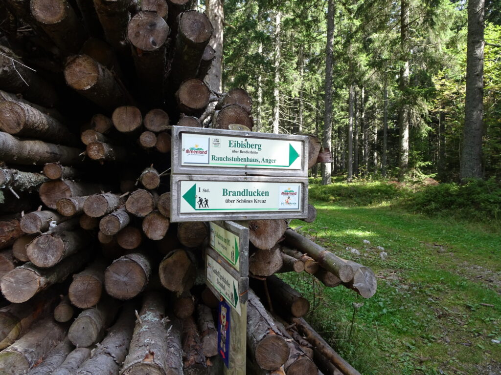 On the trail towards <i>Brandlucken</i> (via <i>Schönes Kreuz</i>)