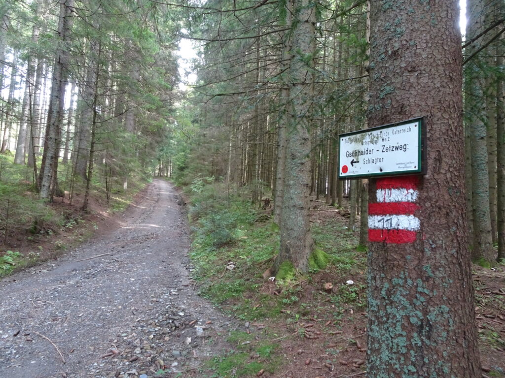 Turn left and follow the trail towards <i>Gschnaider - Zetzweg</i>. Turn right at the next crossing.