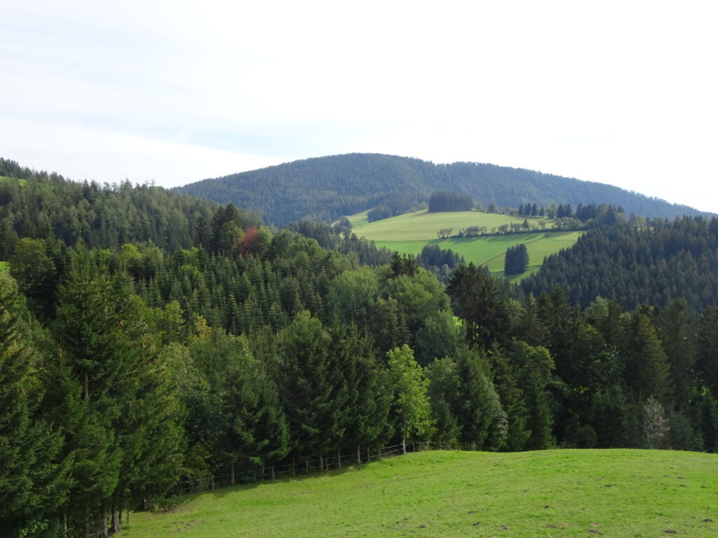Following the <i>Vogelbeer Panoramaweg</i> trail downwards