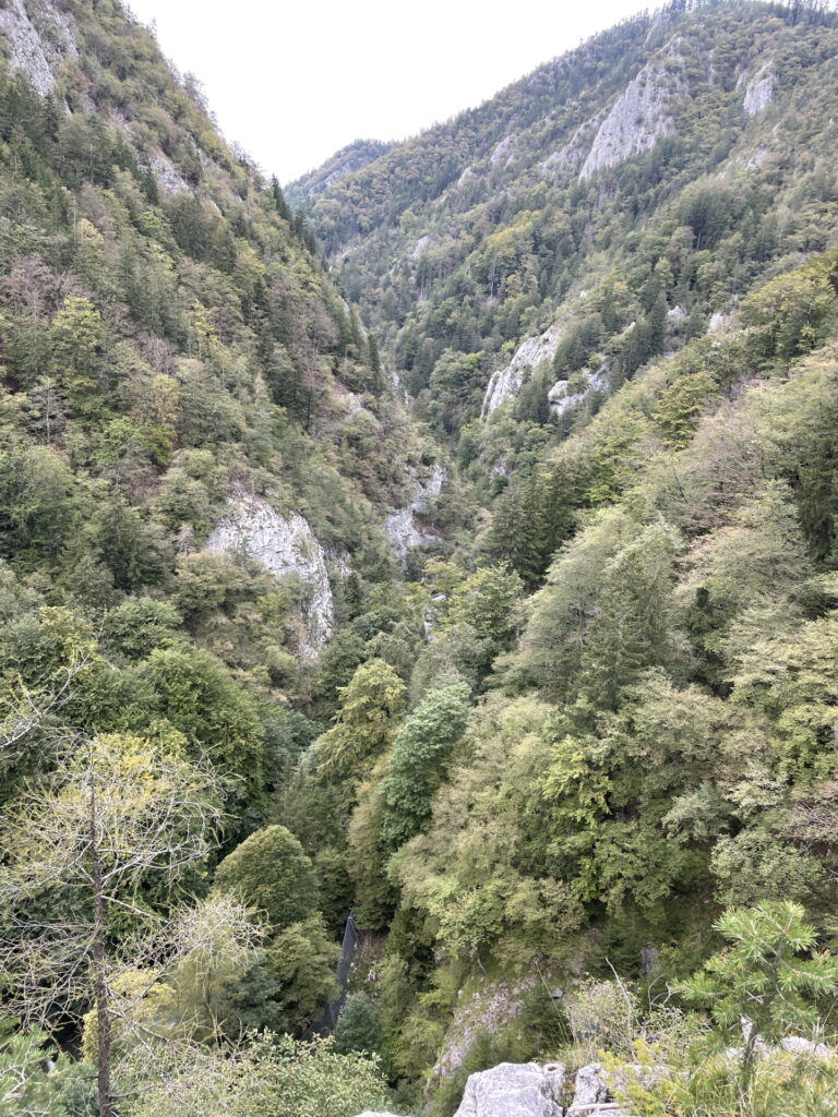 View into the <i>Weizklamm</i> from <i>Herdplatte</i> with the <i>Rablgrat</i> (right top)