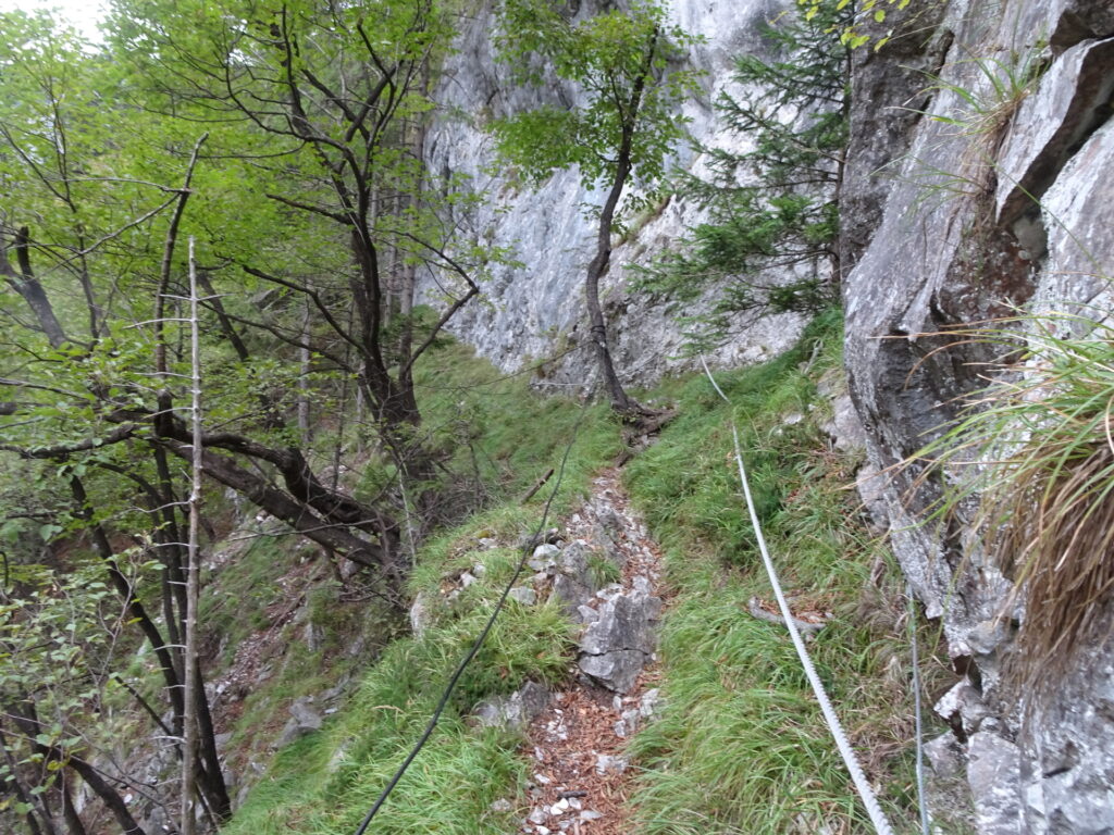 Exposed parts of <i>Jägersteig</i> are well protected