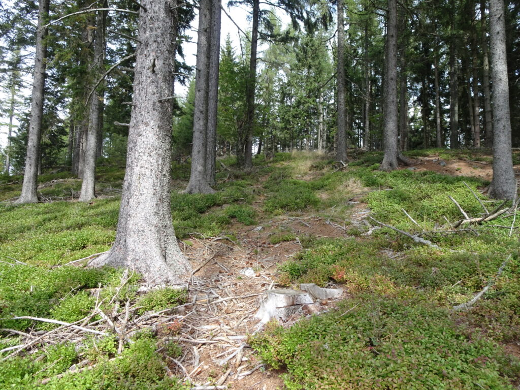 Traces of a trail that lead up to <i>Pommesberg</i>