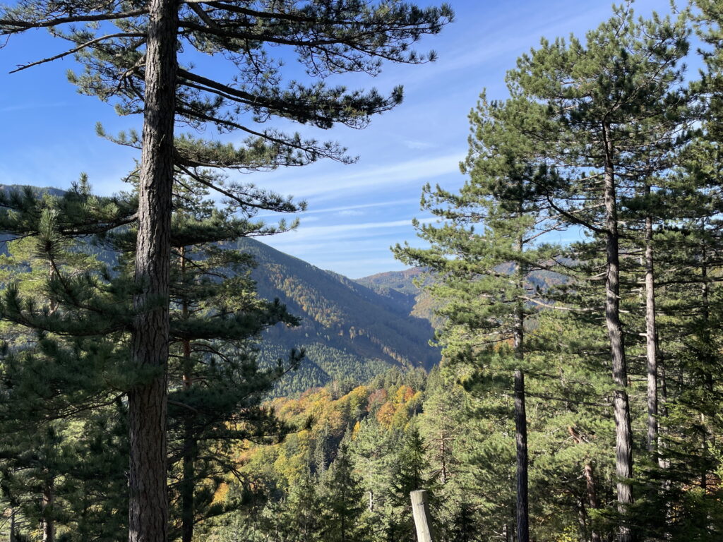 View from the trail towards <i>Auf der Luch</i>