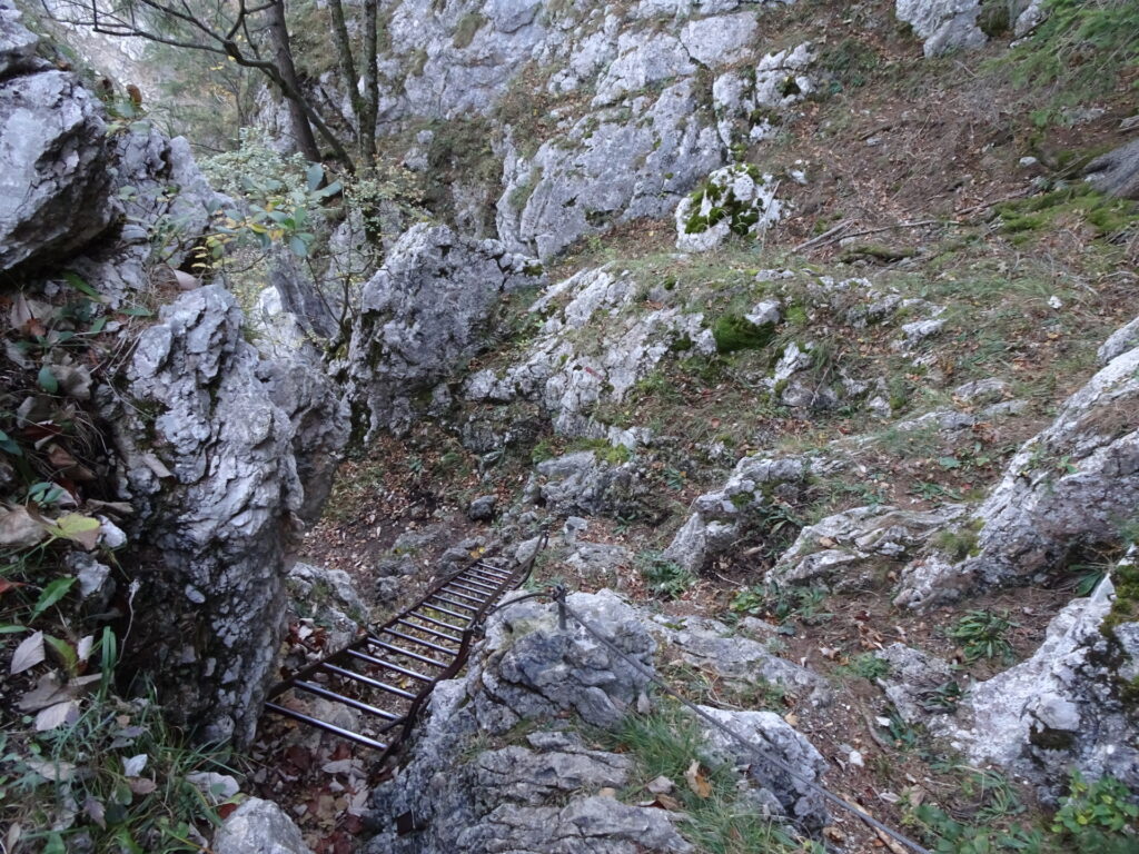 One of the many ladders of <i>Wachthüttelkamm</i>