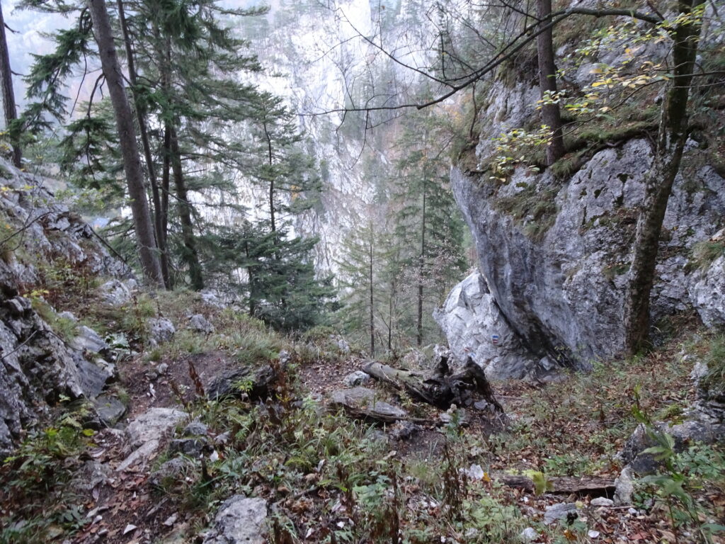 Descending via <i>Wachthüttelkamm</i>