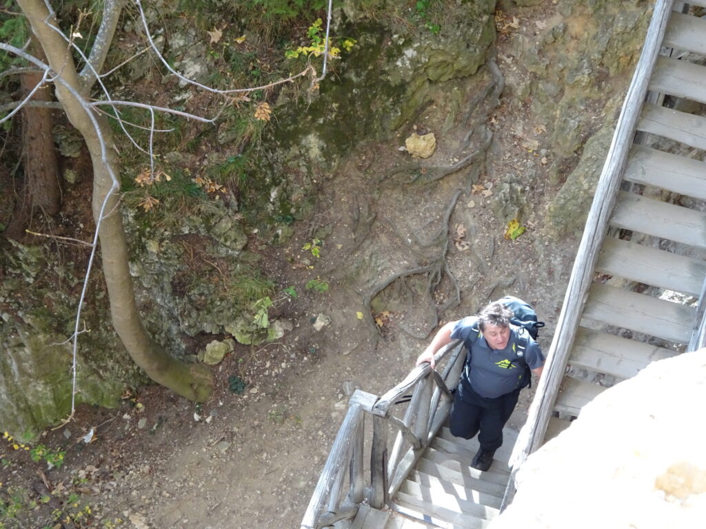 Robert climbs up the wooden stairs to <i>Falkensteinhöhle</i> (cave)