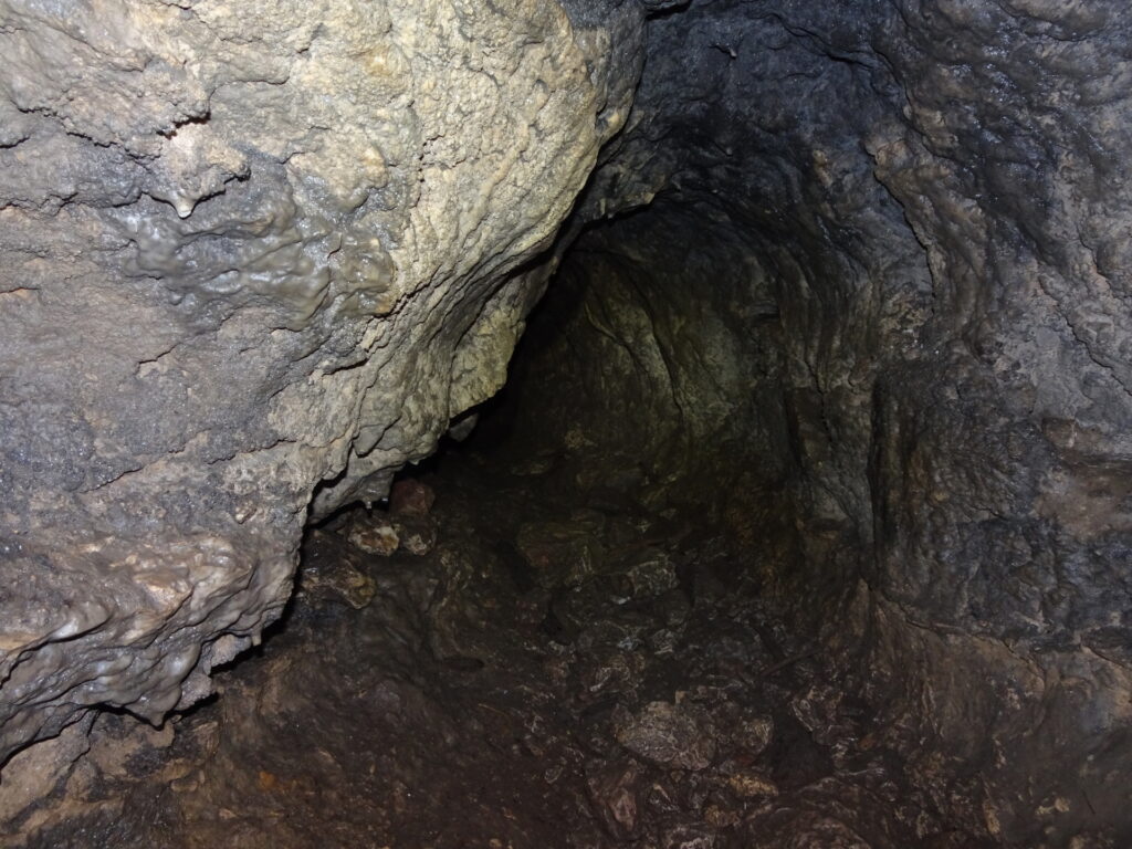 Inside the <i>Falkensteinhöhle</i>