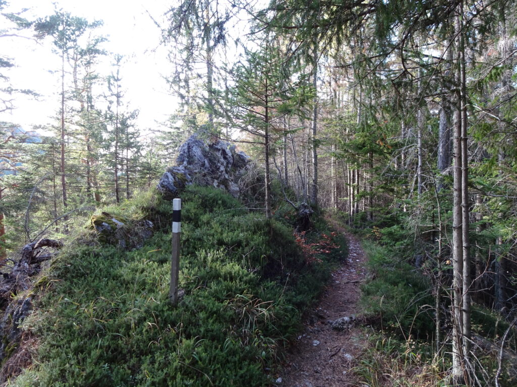 On the trail to <i>Luckerte Wand</i>