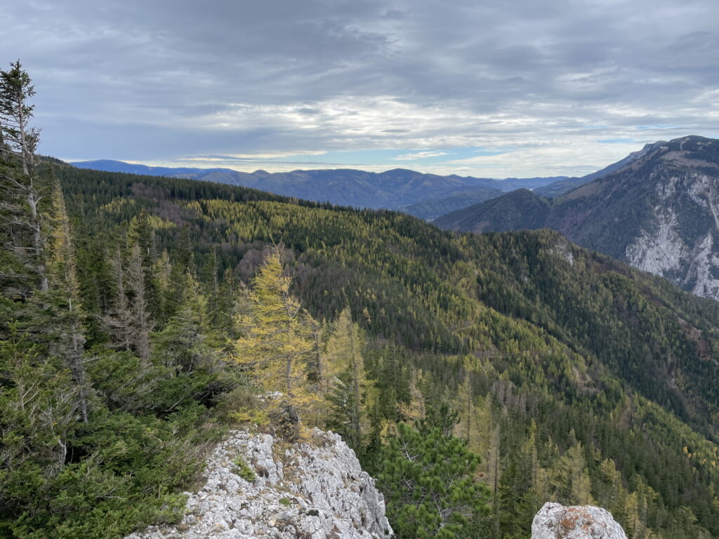 View point from the trail up to <i>Krummbachstein</i>