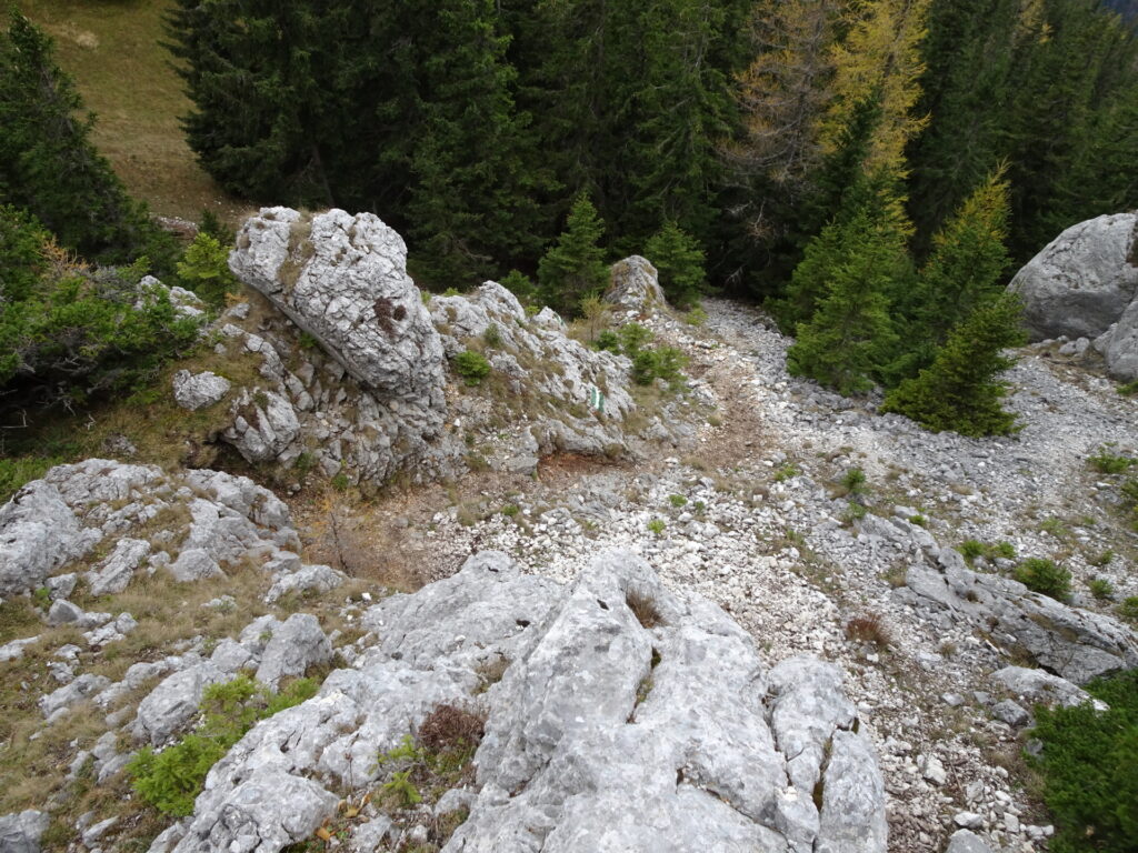 View back down on the trail up to <i>Krummbachstein</i>