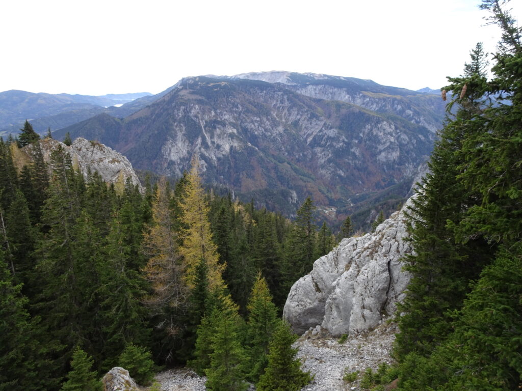 The <i>Rax</i> seen from the trail up to <i>Krummbachstein</i>