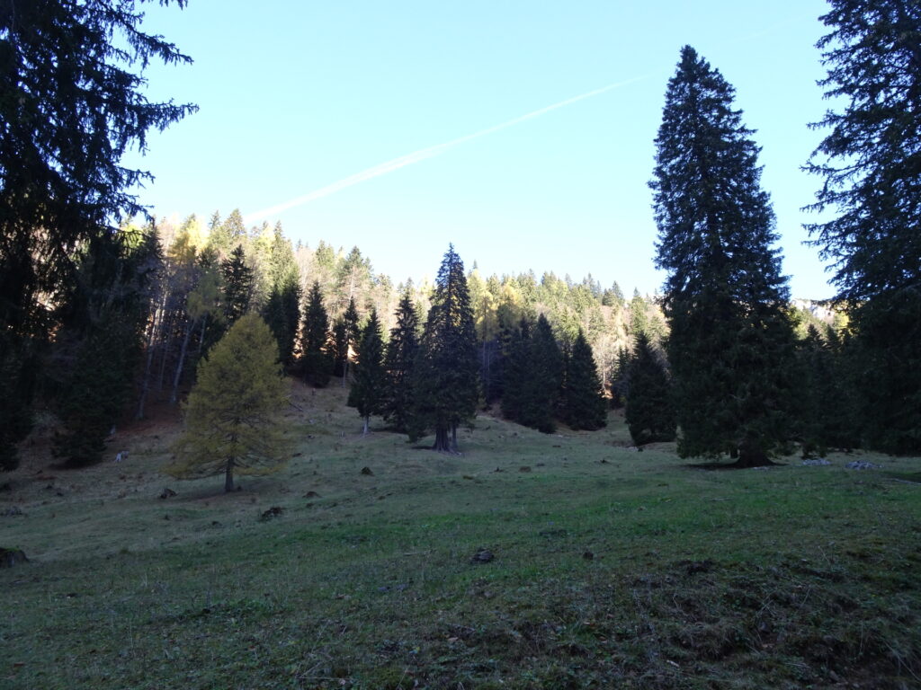 View from the trail towards <i>Dom na Planini Korošica</i>