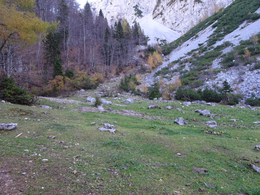 On the trail towards <i>Dom na Planini Korošica</i>