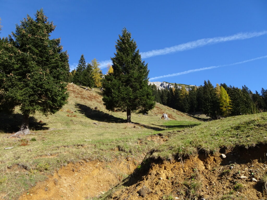 The mountain pasture before reaching <i>Dom na Planini Korošica</i>