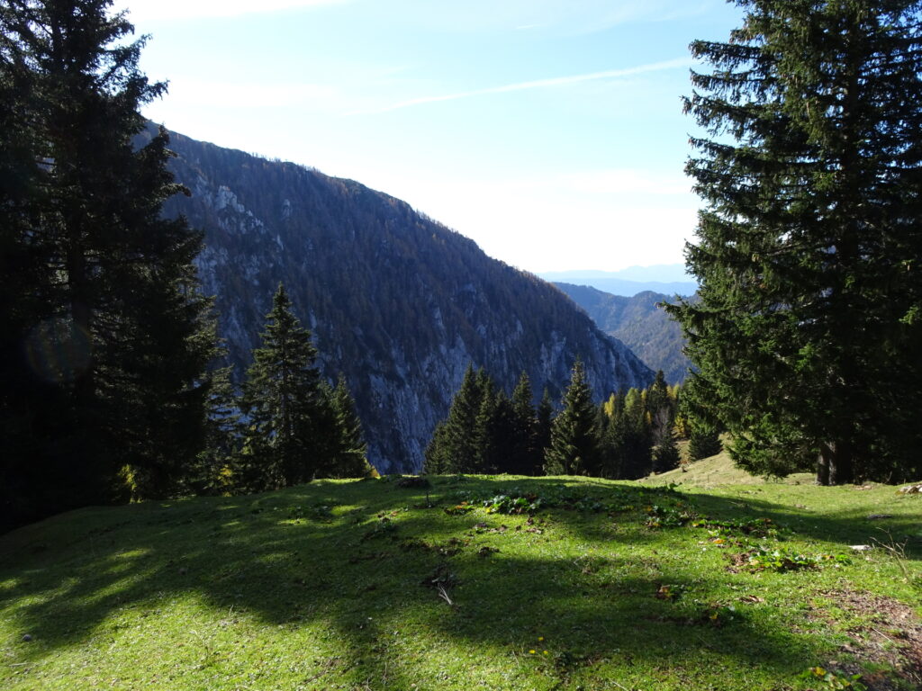 The amazing mountain pasture before <i>Dom na Planini Korošica</i>