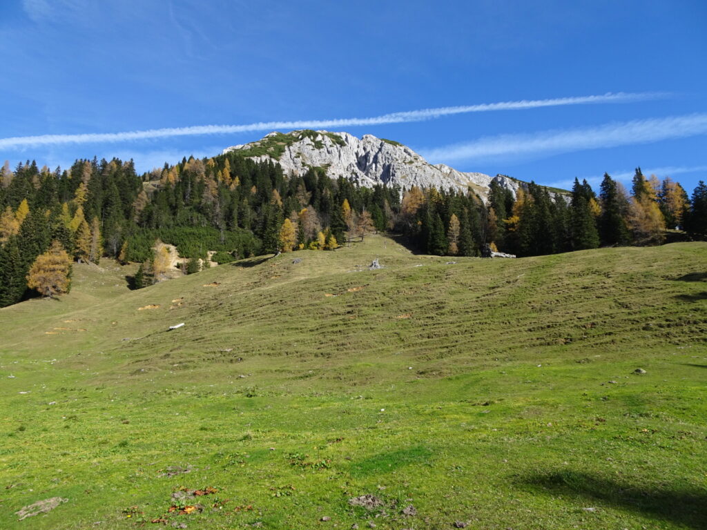 Crossing the mountain pasture towards <i>Hajnževo sedlo</i>