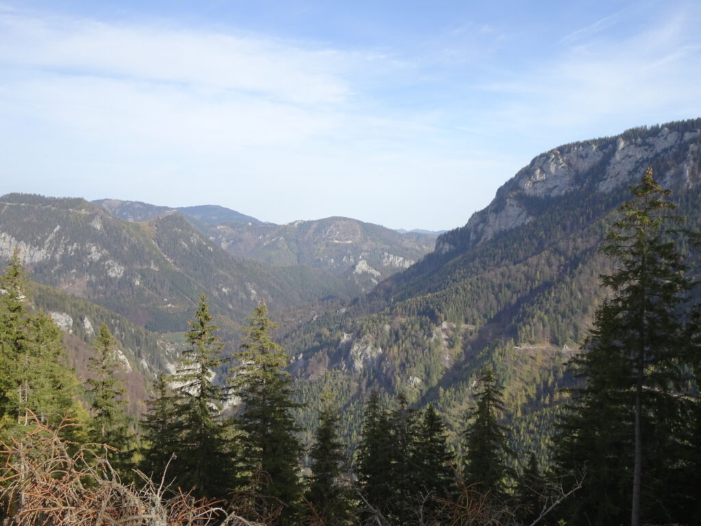 View from the trail towards <i>Gupfsattel</i>