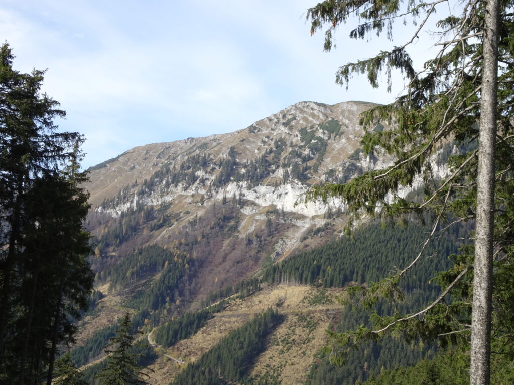 View towards <i>Schneealpe</i> from the trail towards <i>Gupfsattel</i>