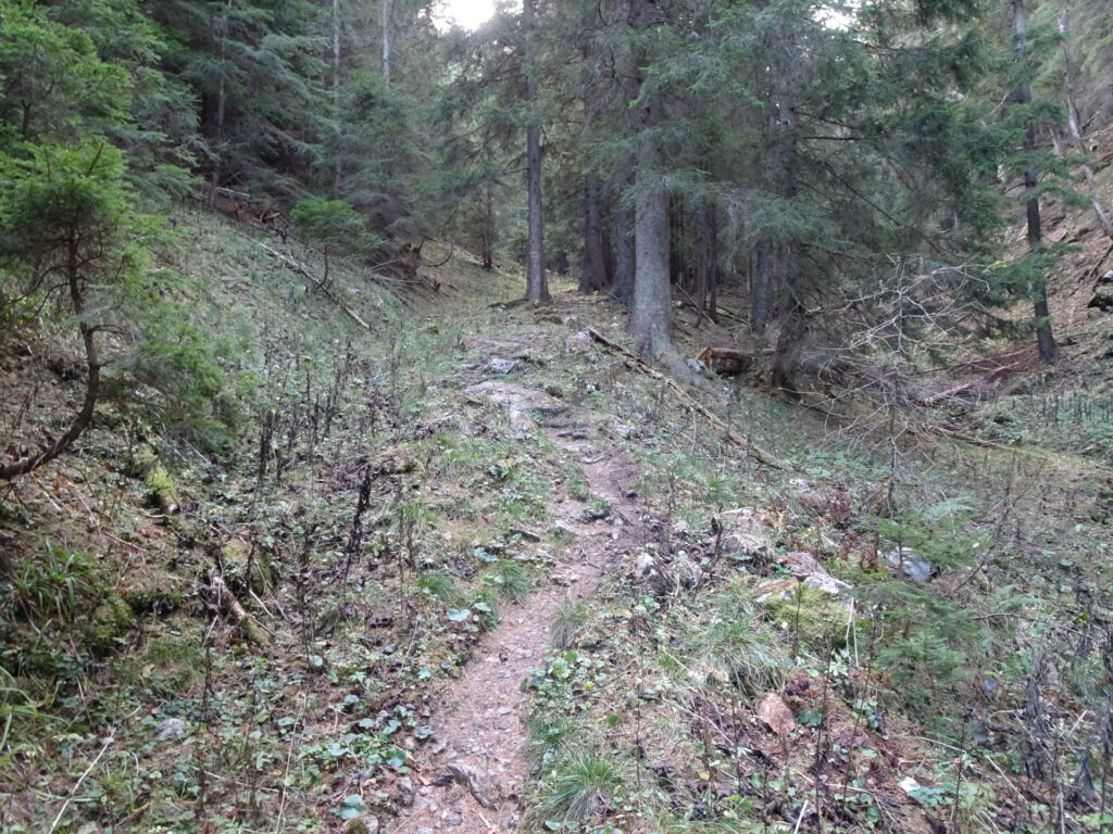 On the trail towards <i>Gupfsattel</i>