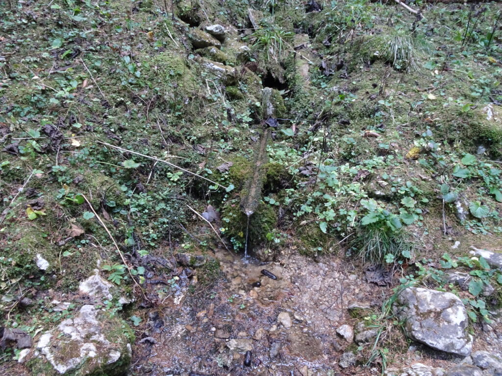 Nice drink-water source on the trail