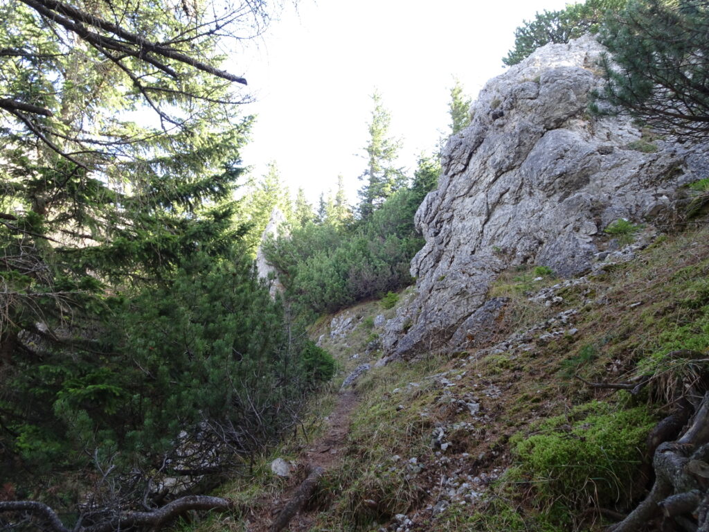 On the trail towards <i>Wildes Gamseck</i>