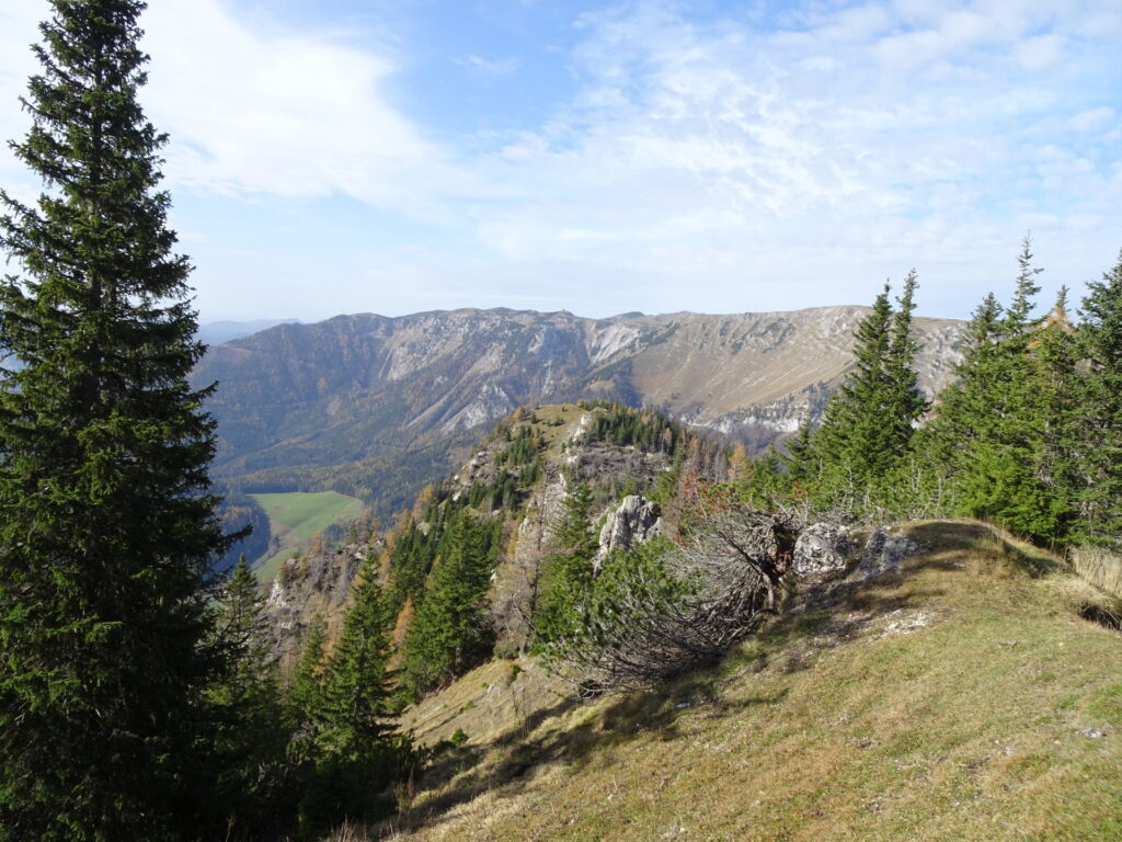 View back towards <i>Grabnergupf</i> in front of the <i>Schneealpe</i>