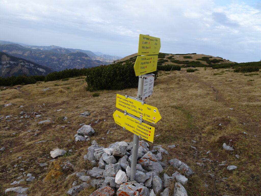 At the crossing, follow the trail towards <i>Gamsecksteig</i>