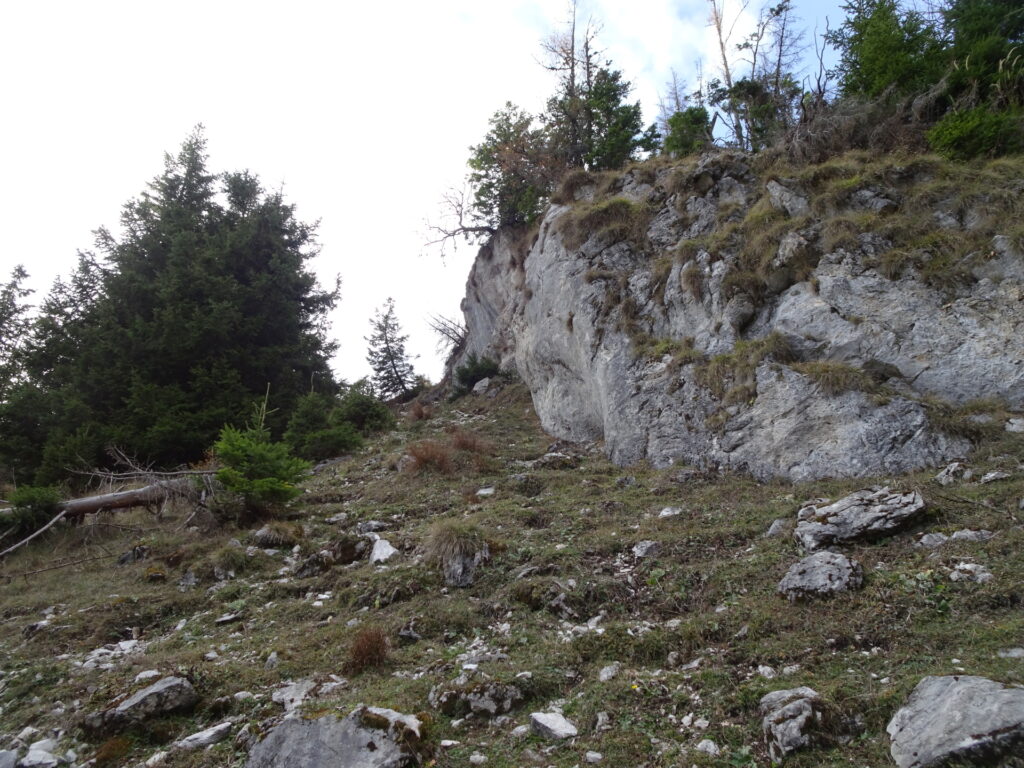 (Detour) Climbing up the steep trail towards <i>Grabnergupf</i>