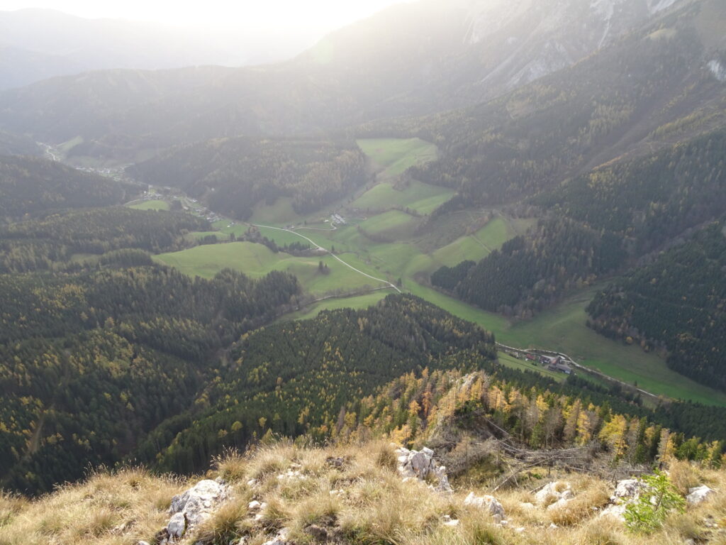 View down towards <i>Altenberg</i> from <i>Grabnergupf</i>
