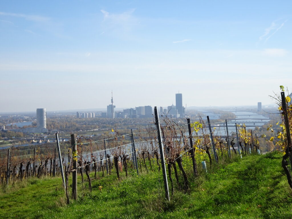 The amazing view towards Vienna through the vineyards