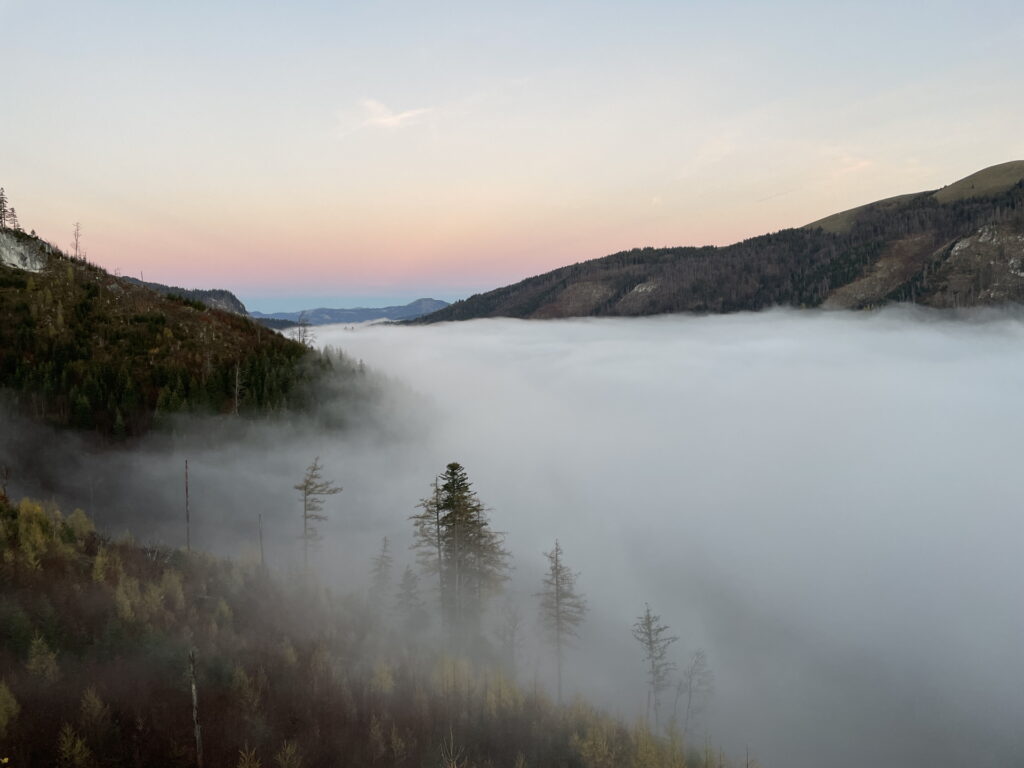 (Short detour): Amazing view from the hide